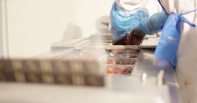 Arbeiter legt rote Wurstwaren in Kunststoffschalen einer Verpackungslinie