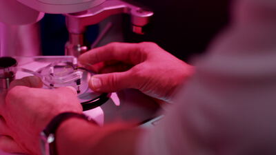 Hand bedient ein Labormessgerät mit Probenhalter im magentafarbenen Licht