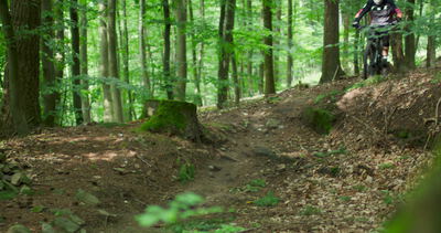 Mountainbiker fährt einen Waldtrail bergab durch dichten Wald