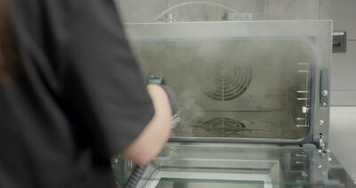 Metallschwamm wird mit Dampfreiniger in der Kammer gereinigt