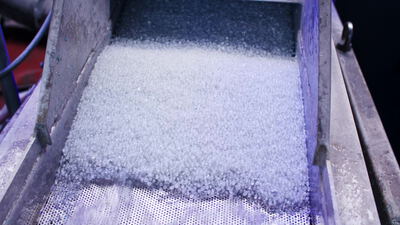 Durchsichtige Kunststoffpellets auf einer Siebmaschine, perforiertes Sieb, Sortiermaschine und Kunststoffgranulat als 4K