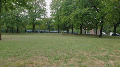 Grasfläche im Stadtpark liegt vor vorbeifahrenden Straßenbahnen im Hintergrund: Grasfläche Park, Wiese im Stadtpark