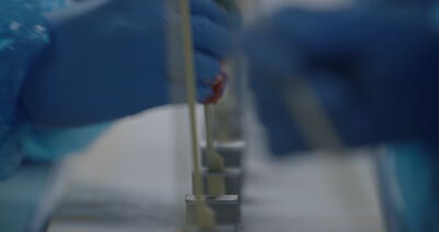 Hände in blauen Schutzhandschuhen arbeiten mit Probenröhrchen an einem Gestell im Labor