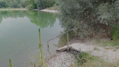 Verwitterte Stufen führen in einen ruhigen Waldsee: verwitterte Betonstufen, Betontreppe ins Wasser