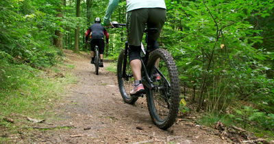 Zwei Mountainbiker fahren auf einem Waldweg