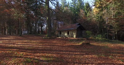 Rustikale Waldhütte mit Holzbank und Rastplatz im Herbstwald