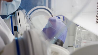 Laborkraft arbeitet mit Schutzhandschuhen an steriler Kammer